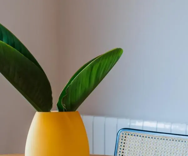 Incredible Duplex Penthouse & Terraces & Parking