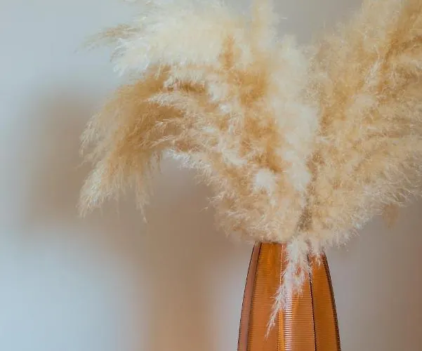 Incredible Duplex Penthouse & Terraces & Parking *