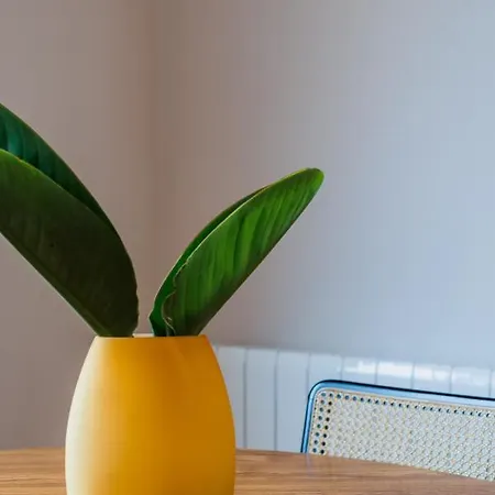 Incredible Duplex Penthouse & Terraces & Parking